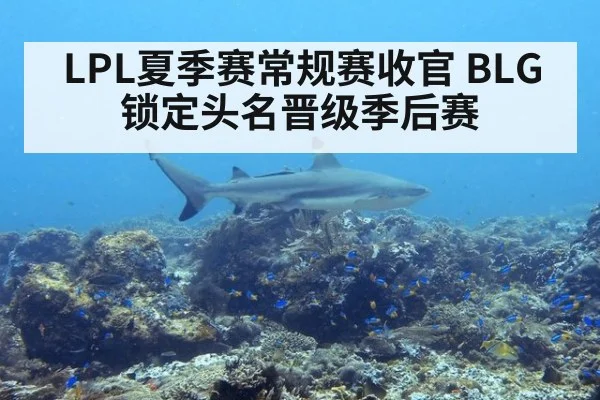 LPL夏季赛常规赛收官 BLG锁定头名晋级季后赛