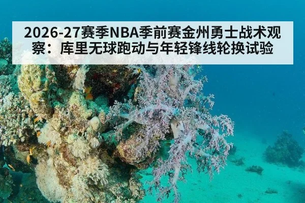 2026-27赛季NBA季前赛金州勇士战术观察：库里无球跑动与年轻锋线轮换试验